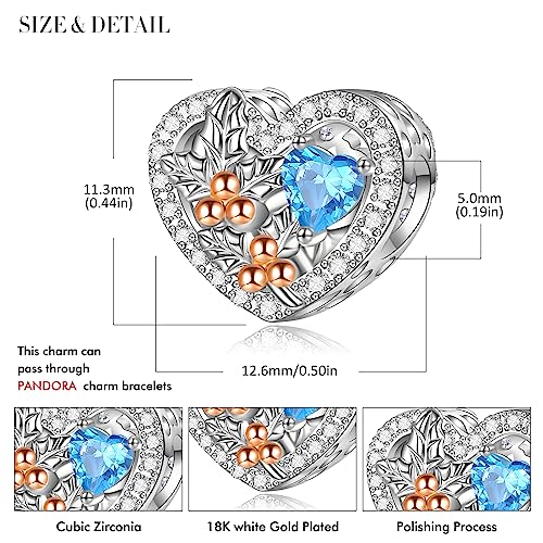 Birth Flower Birthstone Charm for Pandora Charms Bracelets Necklace 925 Sterling Silver Heart Love Charm Birthday Mother's Day Christmas Jewelry Gifts - color: 12-December