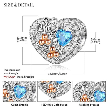 Birth Flower Birthstone Charm for Pandora Charms Bracelets Necklace 925 Sterling Silver Heart Love Charm Birthday Mother's Day Christmas Jewelry Gifts - color: 12-December