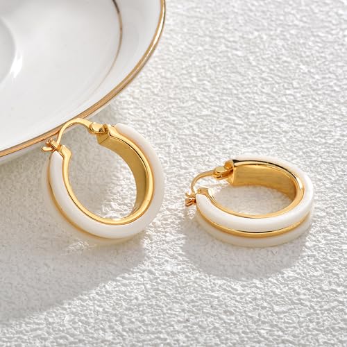 14K Gold Plated Chunky Hoop Earrings for Women Vintage Leopard Print Hoops Large Round Hoop Earrings Jewelry - style: Hoop K