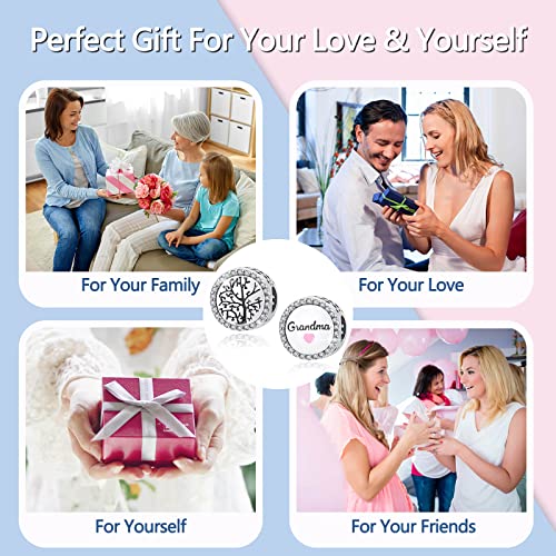 Family Love Mother Daughter Grandma Charm 925 Sterling Silver fits Bracelets Necklace Pendant Bead Charms Jewelry Gift for Women Family Friends - color: Grandma Charm