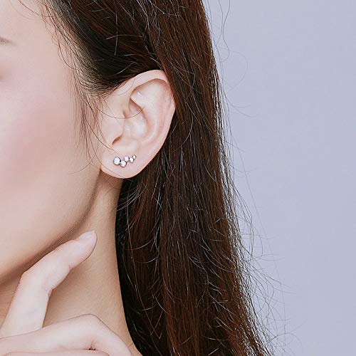 Elegant Round-Cut Crystal Stud Earrings 925 Sterling Silver Simulated Diamond Fashion Cute Climber Wedding Earring Studs Christmas Jewelry Gifts Hypoallergenic for Sensitive Ears