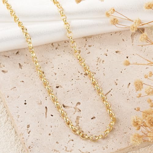 GTVOODX 16.4 Feet Gold Filled Stainless Steel Rolo Chain for Jewelry Making | Unfinished Permanent Jewelry Chain Roll for DIY Jewelry Bracelet Necklace Making with Lobster Clasps Jump Rings - color: Gold Rolo Chains