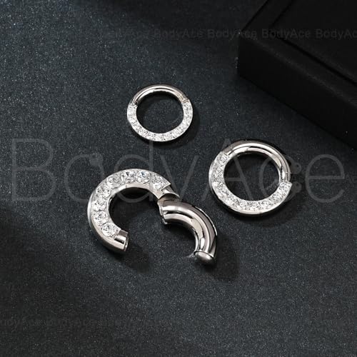 CZ Hinged Segment Clicker PA Rings, 2G 4G 6G 8G 10G 12G Large Septum Nose Rings, Surgical Steel Spring Action BCR Ring Ear Gauges Earrings Hoops - color: 6G(4mm),Hoops:16mm