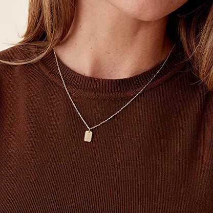 PAVOI 14K Gold Plated Dainty Cubic Zirconia Pendant Necklace for Women | Dot, Elephant, Butterfly, Pineapple, Lock, Knot, Palm Tree, Bow, Smiley Pendant | Layering Chain Necklaces - style: Dog Tag