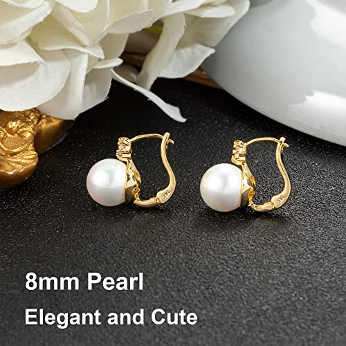 Pearl Earrings for Women 14K Gold Plated Hypoallergenic Pearl Earrings 5A Cubic Zirconia Dangle Earrings Elegant Jewelry - color: 5-Gold