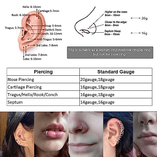 Lantine Black Hinged 20g 18g 16g Nose Rings Hoops 6mm 8mm 10mm 12mm 14mm 16mm Septum Ring Clicker Cartilage Helix Hoop Earrings Set - style: 18g 8mm 2pieces Set
