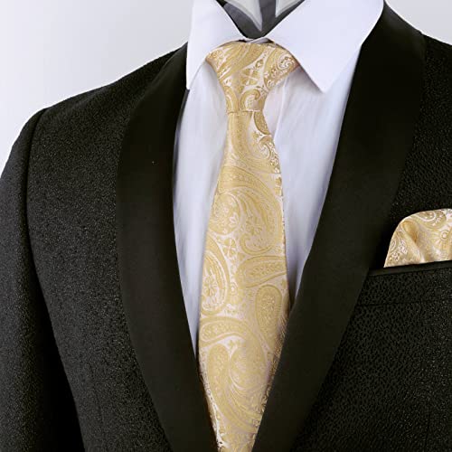 Alizeal Mens Gradient Paisley Necktie and Pocket Square Set | Elegant Design Perfect for Weddings Banquets Business Formal Events - color: 170-champagne