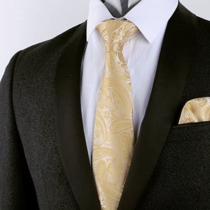 Alizeal Mens Gradient Paisley Necktie and Pocket Square Set | Elegant Design Perfect for Weddings Banquets Business Formal Events - color: 170-champagne