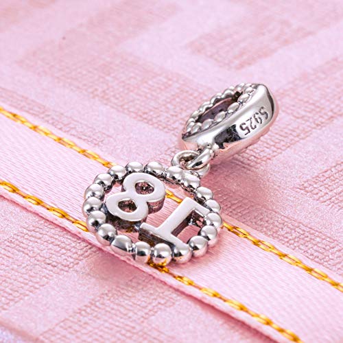 5,10,15,16,17,18,20,21,25,30,35,40,42,49,50,55,60,65,70 Number Charms for European Bracelet, 925 Sterling Silver Birthday Pendant Beads with CZ, Gifts for Mothers Day/Anniversary - color: Silver Color Number 18 Charm