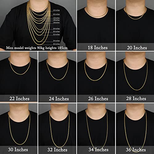 24K Gold Plated Rope Chain Stainless Steel Twist Chain Necklace Men Women - color: 24K Gold-Plated, size: 22 Inches