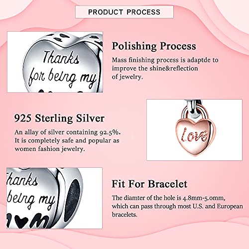 925 Sterling Silver Charms for Bracelets Necklaces Dangle Pendant With 5A Cubic Zirconias Bead Charm for Women DIY Jewelry - style: Love My MOM Charm