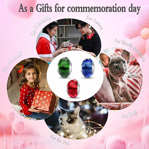 MICOO 925 Sterling Silver Charms for Bracelets,Fashion DIY Dangle Pendants Beads Simulated Birthstone Charms,Birthday Gifts for Women - color: 3 Red Blue and Green Charms