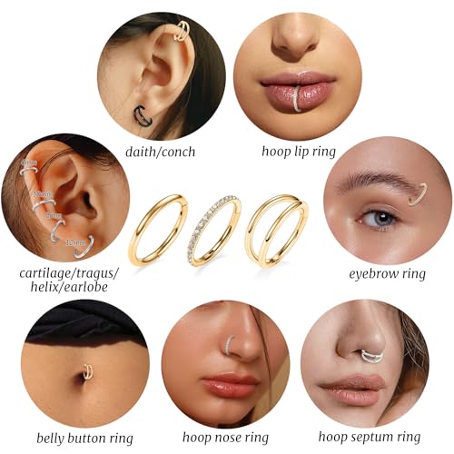 GAGABODY 2 Pcs Nose Rings 22G 20G 18G 16G 14G 12G 10G 8G Surgical Steel Piercing Rings for Nose Septum Cartilage Helix Tragus Conch Rook Daith Lobe from 5mm to 16mm Seamless Hoop Unisex Hinged Earrings - color: Gold-Single&Double&CZ Hoop