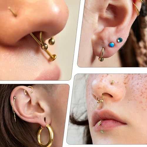 Yolev 6pcs Horseshoe Nose Ring 16g Surgical Steel Septum Piercing Jewellery Horseshoe Hoop Earring Lip Rings Ear Helix Cartilage Daith Conch Horse Shoe Nose Ring For Women Men 8/10/12mm Gold