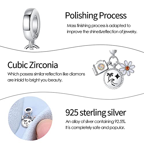 Pandach 925 Sterling Silver Charms Beads for Bracelets and Necklaces Butterfly and Headphones Pendants Clover Charms Jewelry Gift for Women - style: Travel Camera Flowers Charm