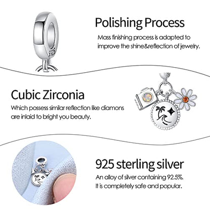Pandach 925 Sterling Silver Charms Beads for Bracelets and Necklaces Butterfly and Headphones Pendants Clover Charms Jewelry Gift for Women - style: Travel Camera Flowers Charm