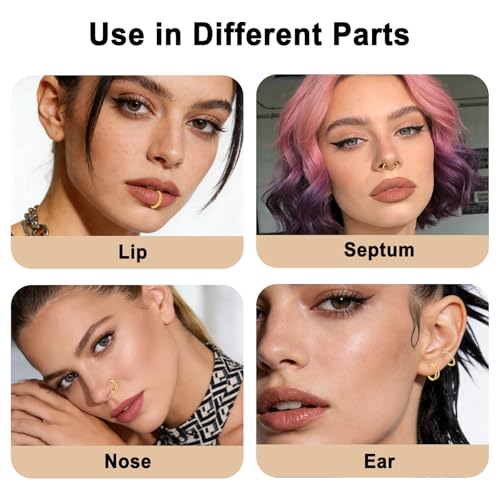4PCS Nose Ring Hoop 316 Surgical Steel Double Hoop Septum Rings 18g 16g Piercing Jewelry with Zircon Spiral for Women Men Nose Septum Lip 8mm