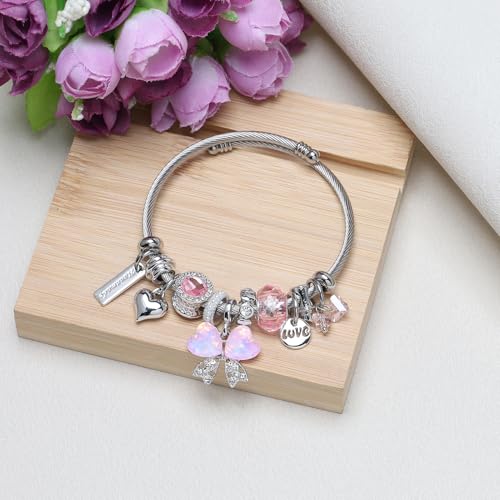 DS Charm Bracelets for girls,exquisite cute cartoon friendship bracelets Silver Stainless Steel Bangle with birthday Gift box, Adjustable girls jewelry Suitable for holiday gifts - style: Silver-pink butterfly 3