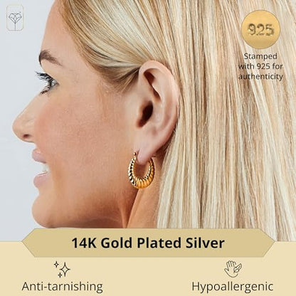 14k Yellow Gold Plated Hoop Earrings for Women with Click Top | Anti Tarnish Lightweight Chunky 14K Gold Hoop Earrings | Hypoallergenic Gold Plated Earrings 0.6 to 1.2 Inches by MAX + STONE - style: Oval Sectioned