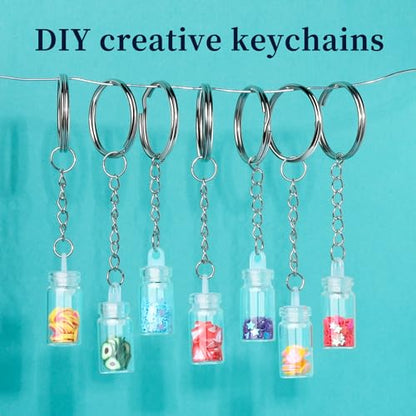 Teenitor 524PCS Keychain Making Kit, Key Chain Clips, Key Chain Rings, Lanyard Hooks Lobster Claw Clasps, Key and Jump Rings for Keychain Making Jewelry Lanyard - color: Silver