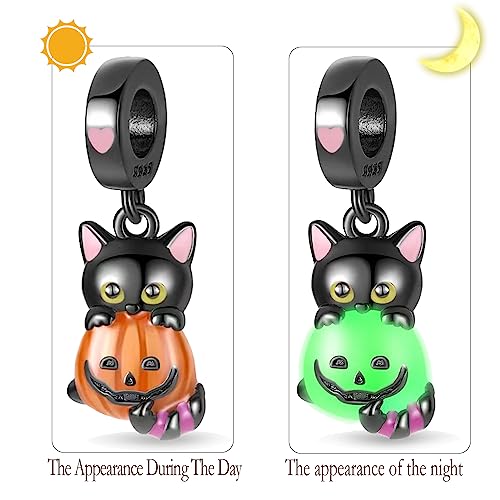 925 Sterling Silver Charms for Bracelets Necklaces Dangle Pendant With 5A Cubic Zirconias Bead Charm for Women DIY Jewelry - style: Glow-in-the-dark kitten