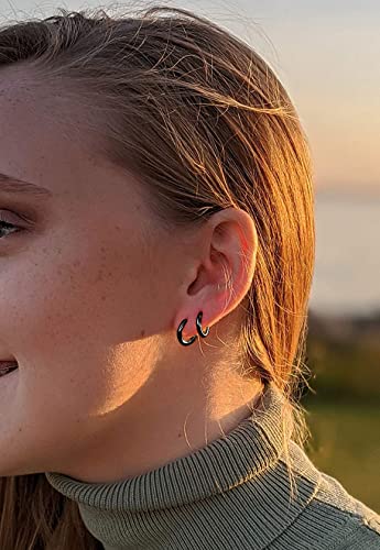 316L Surgical Stainless Steel Hoop Earrings,Mens Hoops Earrings Gold Silver Black Hypoallergenic,6mm 8mm 10mm 12mm Small Huggie Hoop Earrings Men Women for Cartilage Piercings - style: 6/8/10/12mm Black,4 Pairs
