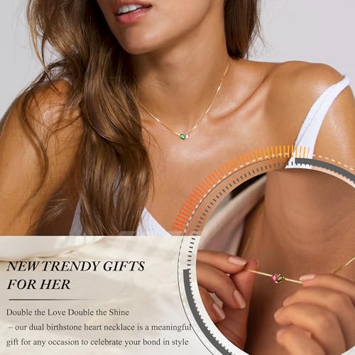 2026 Graduation Gifts Birthstone Necklace for Women Dainty Gold Necklace with 2 Birthstone Birthday Gift for Her Teen Girl Gift Trendy Stuff for Her Mom Daughter Girlfriend Friend Christmas Stocking Stuffers - color: 02-12 Feb & Dec, style: Heart
