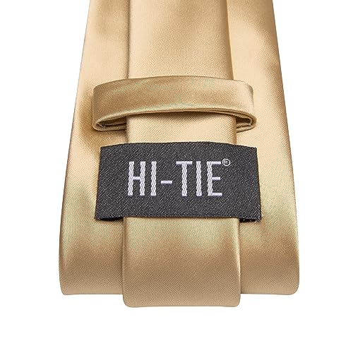 Hi-Tie Men's Silk Ties Formal Woven Classic Necktie Pocket Square Cufflinks Lapel Pin Set Wedding Business - color: Champagne Gold