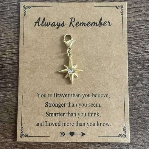 AMOBESTER 18K Gold Plated Gold North Star Zipper Pull Charms Stainless Steel Celestial Clip-On Charms for Jewelry Making, DIY Bracelets Necklaces