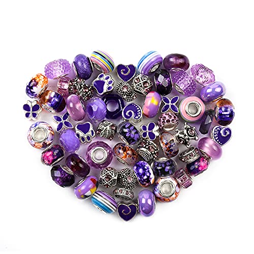 Aipridy European Large Hole Beads, Colorful Glass Charm Beads Set, Assorted Patterns and Designs Rhinestone Craft Beads for DIY Bracelet Jewelry Making (60, Purple Resin+Alloy) - color: Purple Resin+Alloy