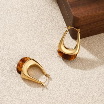 Brown Earrings Circle Chunky Earrings for Women Trendy 18K Gold Plated Stud Hoop Stainless Steel Hypoallergenic - color: Brown Hoop