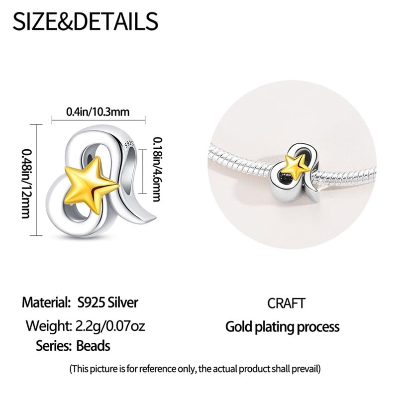 925 Sterling Silver 12 Astrological Signs Charm for Bracelets and Necklace Happy Birthday Charms for Bracelet and Necklace Valentine's Day Mother's Day Gift - style: Leo Charm