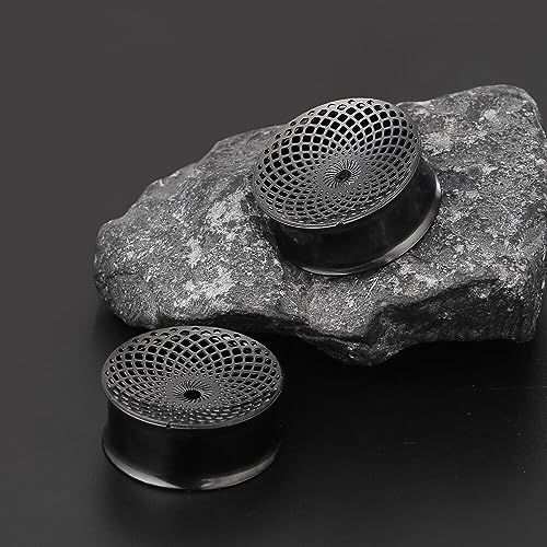 1 Pair New Classic gauges Ear Plugs Tunnels Hypoallergenic 316 Stainless Steel Ear Gauges 8mm-25mm (0G-1") Body Piercing Jewelry - color: Black-1407, size: 1/2" (12mm)