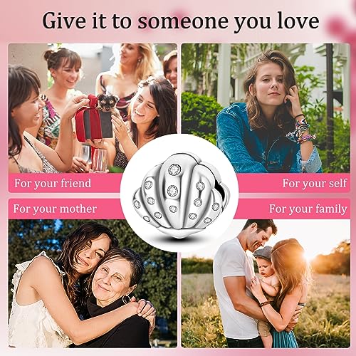 Hapour Clip Spacer Charm for Bracelet 925 Sterling Silver Stopper Beads | Heart Stopper Charm, Butterfly Lucky Clover Sunflower Openable Clip Lock Jewelry Beads for Women Mom - color: 2PCS Silver Shell