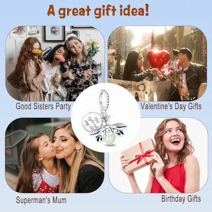 HappyStar 925 Sterling Silver Animal Dogs Charms Pendants fit Pandora Bracelets Necklaces Flowers Sports Travel Charms for Bracelets Women Jrwelry Gifts(with one Spacer Bead Charms) - style: Firefly charm