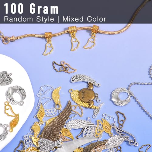 stino 100 G Mixed Style Metal Charms for Jewelry Making, Bulk Silver & Gold Plated, for Bracelet, Necklace, Earrings DIY Crafts - style: Wing