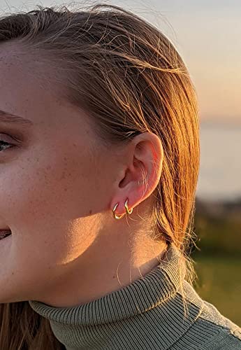 316L Surgical Stainless Steel Hoop Earrings,Mens Hoops Earrings Gold Silver Black Hypoallergenic,6mm 8mm 10mm 12mm Small Huggie Hoop Earrings Men Women for Cartilage Piercings - style: 6/8/10/12mm Golden,4 Pairs