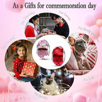 MICOO 925 Sterling Silver Charms for Bracelets,Fashion DIY Dangle Pendants Beads Simulated Birthstone Charms,Birthday Gifts for Women - color: 2 Red and Pink Charms