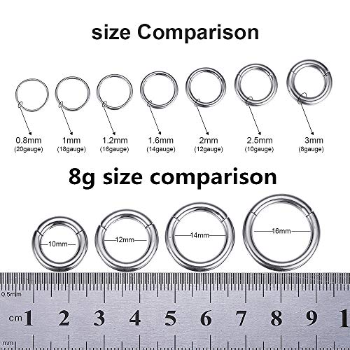 ORANGELOVE Hypoallergenic Nose Rings 20G 18G 16G 14G 12G 10G 8G 316l Surgical Steel Septum Jewelry Hinged Segment Ring Body Piercing Nose Hoop Lip Rings Nose Helix Cartilage Rook Earrings - color: Silver, size: 1pc 8 Gauge 14mm