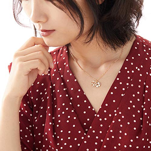 Zealmer Dainty 18K Gold Plated Compass World Map Pendant Necklace Graduation Gift for Friends - color: 2pcs Compass Gold & Silver