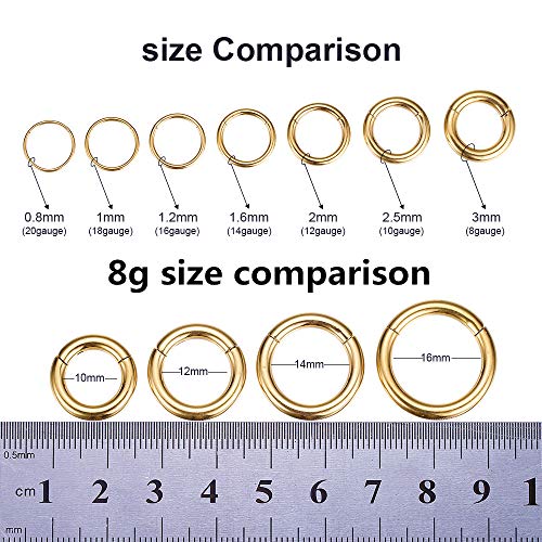 ORANGELOVE Hypoallergenic Nose Rings 20G 18G 16G 14G 12G 10G 8G 316l Surgical Steel Septum Jewelry Hinged Segment Ring Body Piercing Nose Hoop Lip Rings Nose Helix Cartilage Rook Earrings - color: Gold, size: 1pc 8 Gauge 16mm
