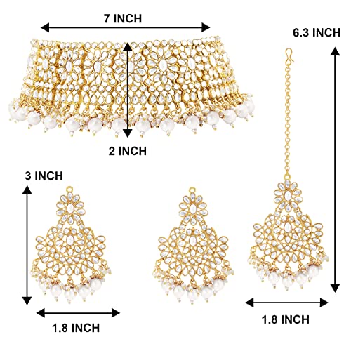 Aheli Faux Pearl Choker Necklace with Earrings Indian Traditional Bollywood Jewelry Set Gift for Women - color: White & Gold