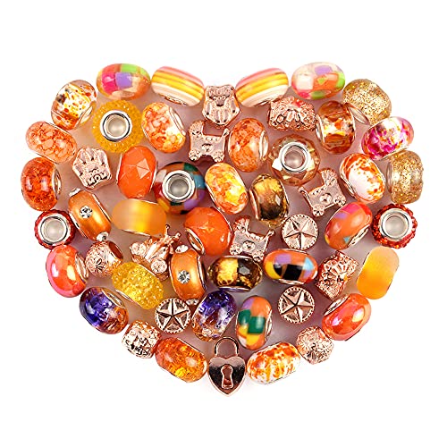 Aipridy European Large Hole Beads, Colorful Glass Charm Beads Set, Assorted Patterns and Designs Rhinestone Craft Beads for DIY Bracelet Jewelry Making (60, Orange Resin+Alloy) - color: Orange Resin+Alloy