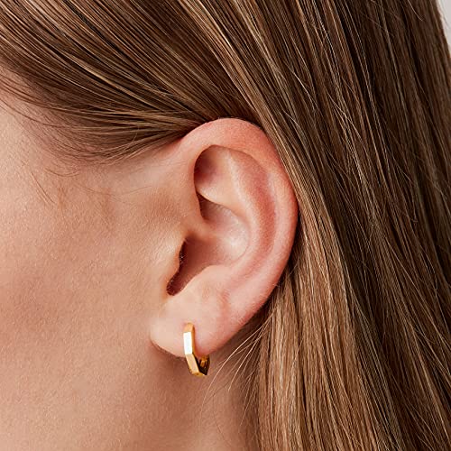 PAVOI 14K Gold Plated Chunky Huggie Earrings for Women, Small Hoop Earrings | Hypoallergenic Earrings with 925 Sterling Silver Posts, Trendy Ultra Thick Huggie Hoop Earrings - style: Geometric