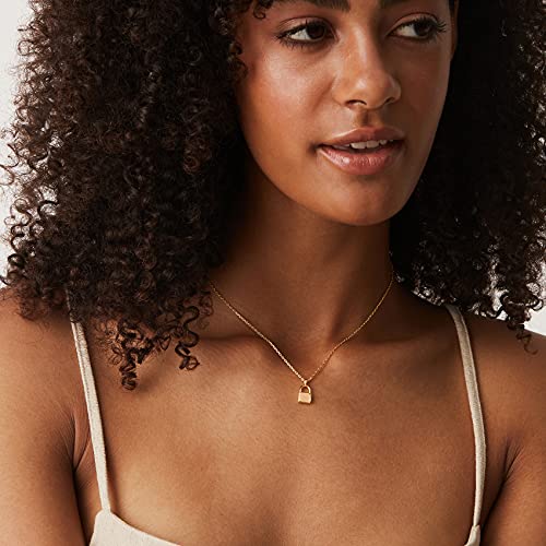 PAVOI 14K Gold Plated Dainty Cubic Zirconia Pendant Necklace for Women | Dot, Elephant, Butterfly, Pineapple, Lock, Knot, Palm Tree, Bow, Smiley Pendant | Layering Chain Necklaces - style: Lock