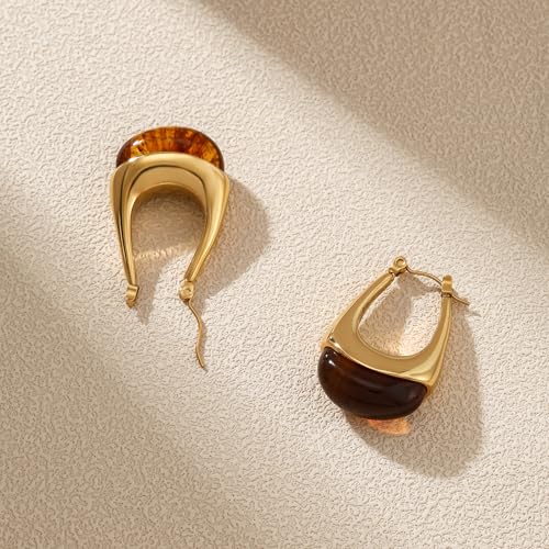 Brown Earrings Circle Chunky Earrings for Women Trendy 18K Gold Plated Stud Hoop Stainless Steel Hypoallergenic - color: Brown Hoop