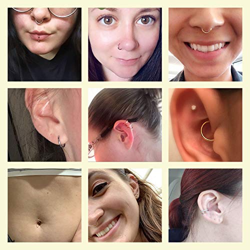FUNLMO 316L Surgical Steel Hinged Segment Nose Ring Hoop for Nose Septum Cartilage Helix Tragus Conch Rook Daith Lobe Lip Piercings 1 Pc - color: Gold