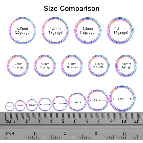 FUNLMO 316L Surgical Steel Hinged Segment Nose Ring Hoop for Nose Septum Cartilage Helix Tragus Conch Rook Daith Lobe Lip Piercings 1 Pc - color: Rainbow