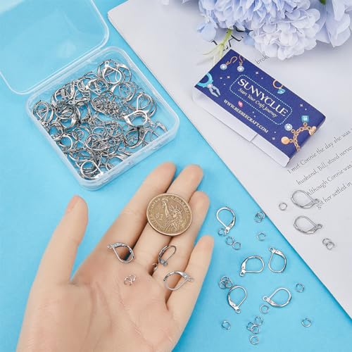 SUNNYCLUE 1 Box 250Pcs Earring Hooks and Jump Rings 100Pcs Stainless Steel Leverback Earring Findings 150Pcs Open Jump Rings Hypoallergenic Lever Back Earring Hooks for Jewelry Making Kits DIY Crafts - color: 100pcs Stainless Steel Leverbacks & 150pcs Ope