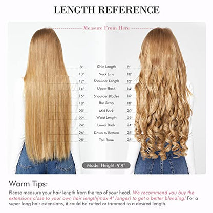REECHO 24" 1-pack 3/4 Full Head Curly Wave Clips in on Synthetic Hair Extensions HE008 Hair pieces for Women 5 Clips 4.5 Oz Per Piece - Ash Light Brown - color: Ash Light Brown, size: 24 Inch (Pack of 1)